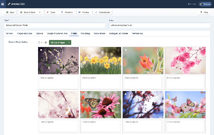 Joomla Gallery Field