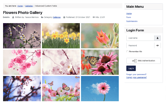 Joomla Gallery Field