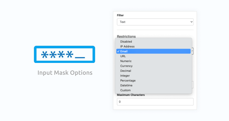 march product updates input mask options