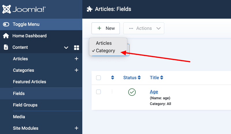 Conditional Logic for Category Custom Fields