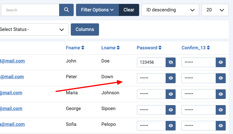 Convert Forms Submissions Masked Passwords
