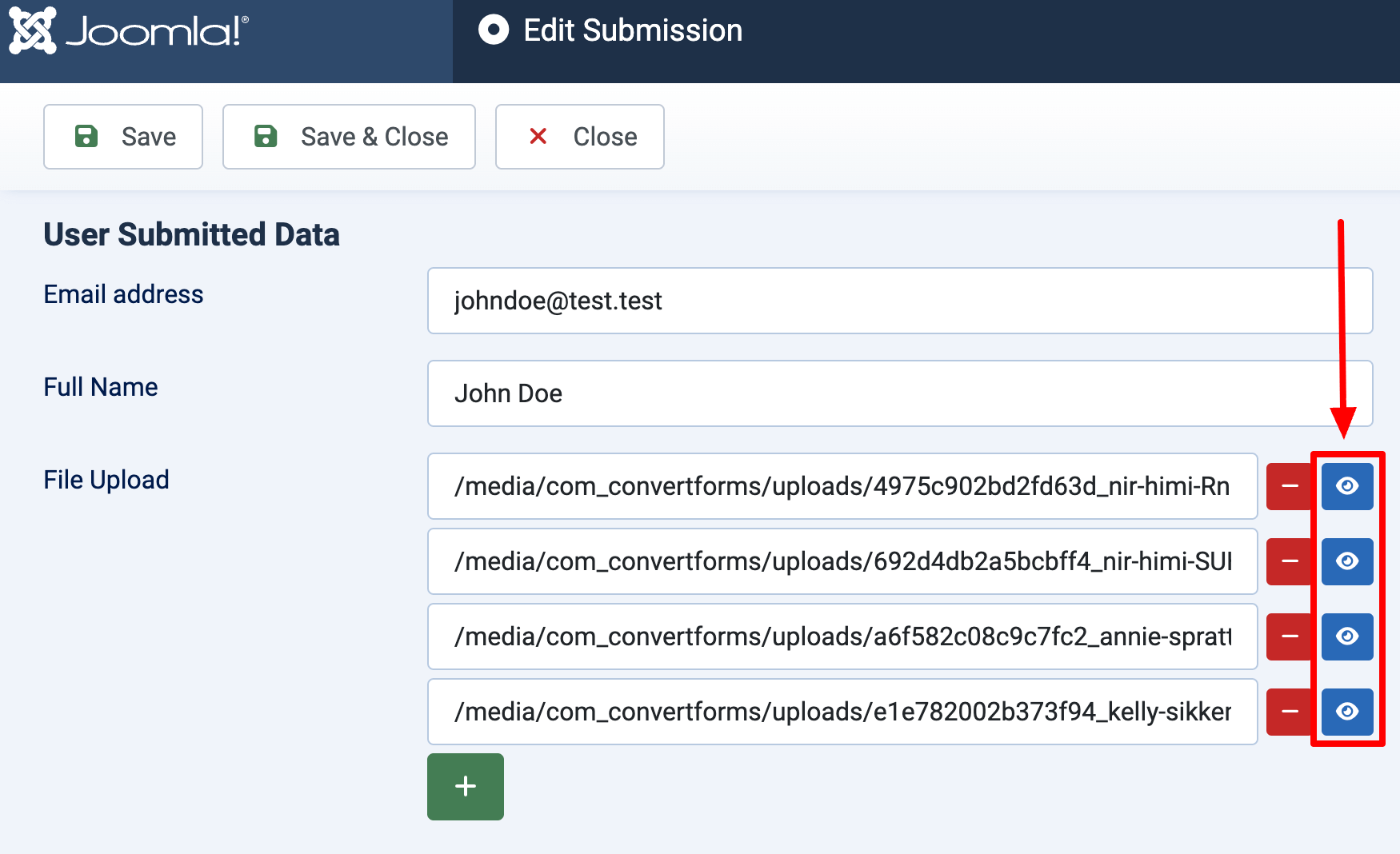 View Uploaded Files in Convert Forms File Upload Field