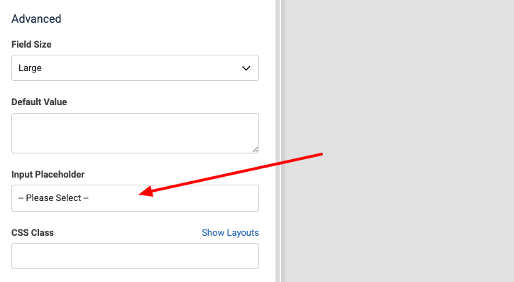 Dropdown Placeholder Setting