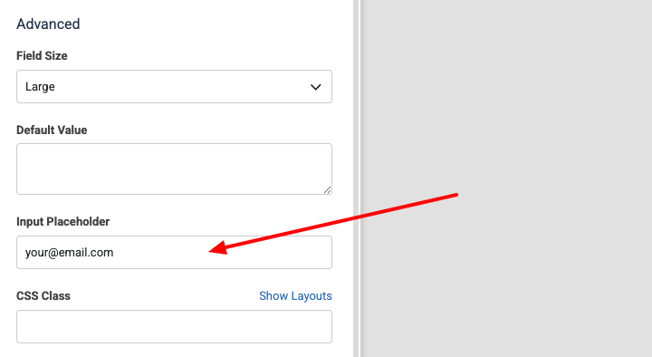 Input Placeholder Setting