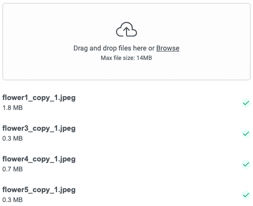 file upload list preview