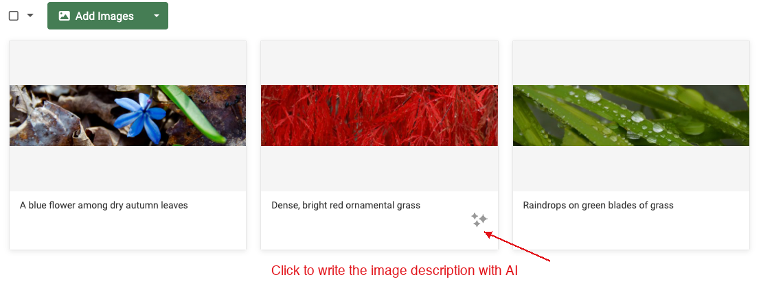 Click to generate image description for selected gallery item using AI