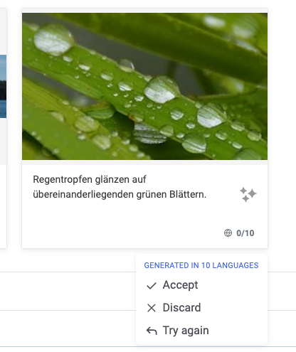 Image description generated in every language