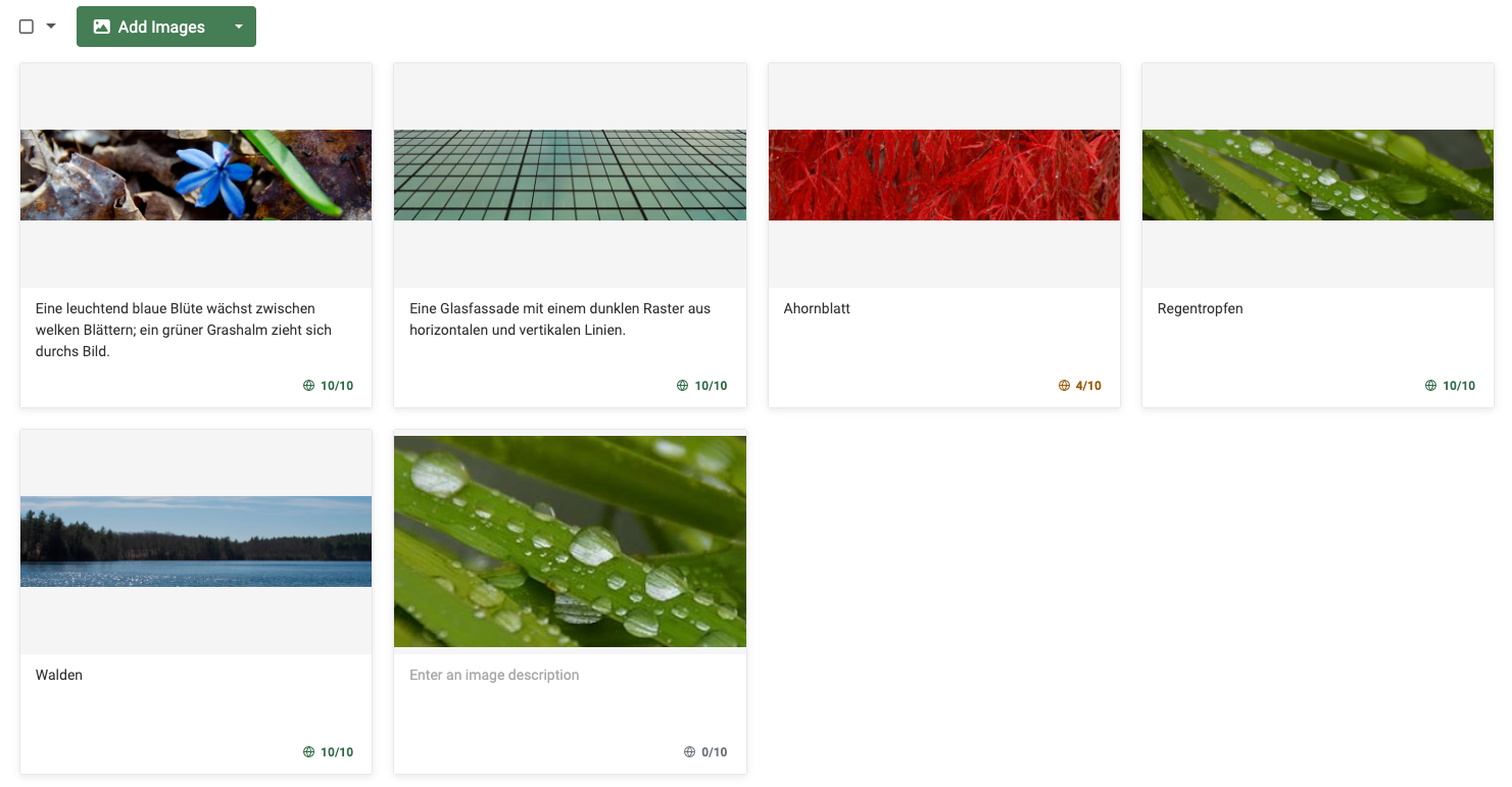 ACF Gallery - Language pills under each image