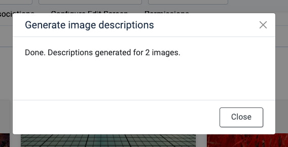 Image descriptions generated for the selected gallery items