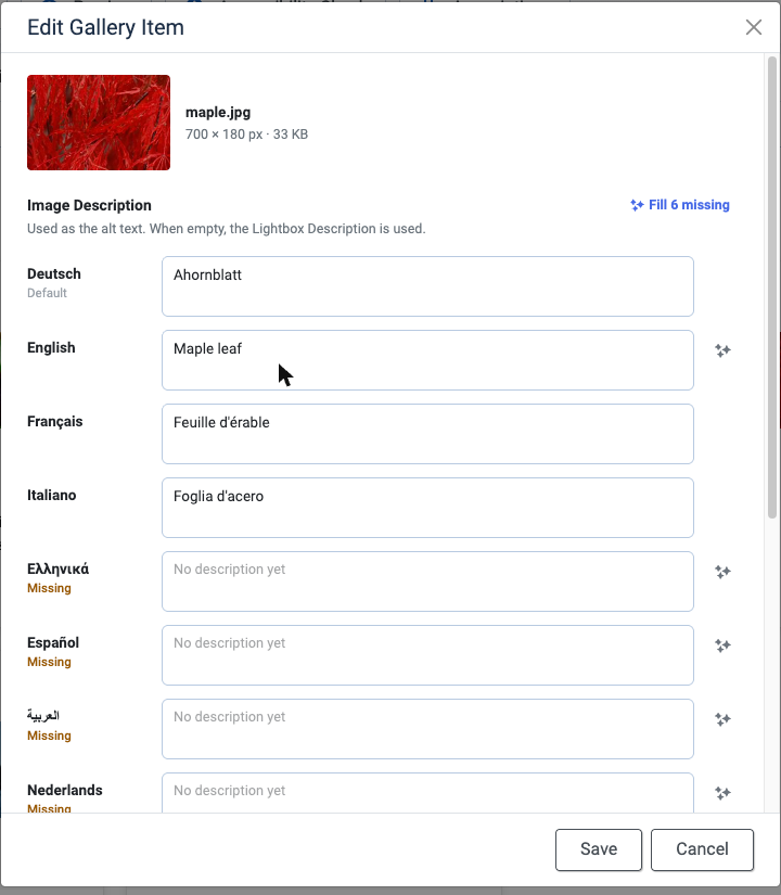 ACF Gallery - Edit window with one row per language