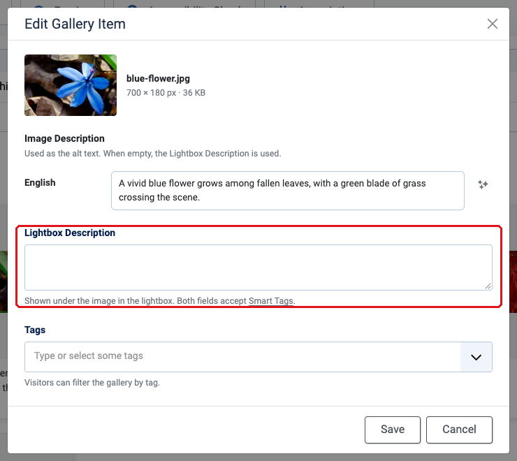 ACF Gallery - Set the lightbox description in the edit window