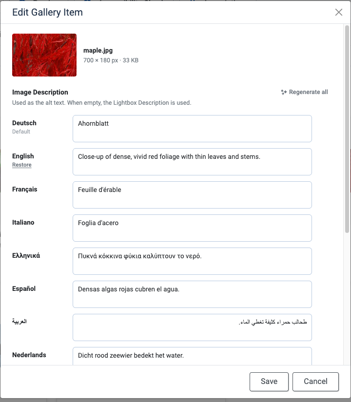 Regenerate every language with AI in the edit window