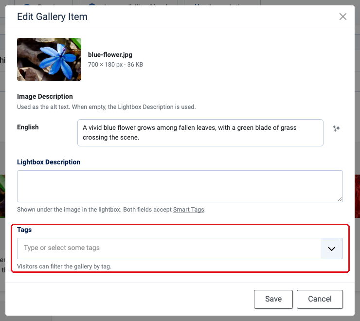 ACF Gallery - Set image tags in the edit window