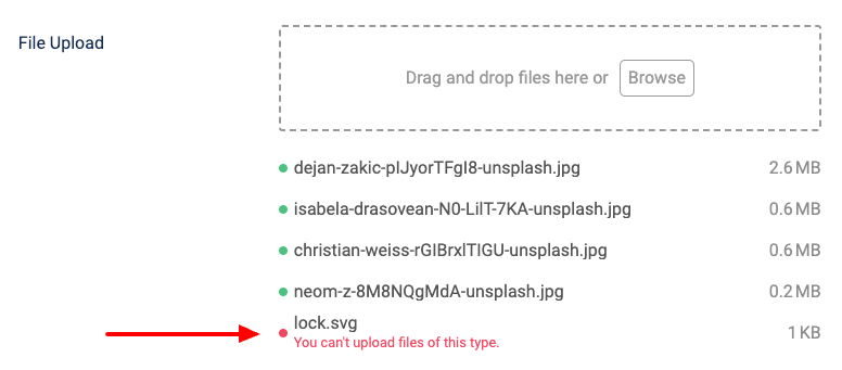 ACF File Upload - Invalid State