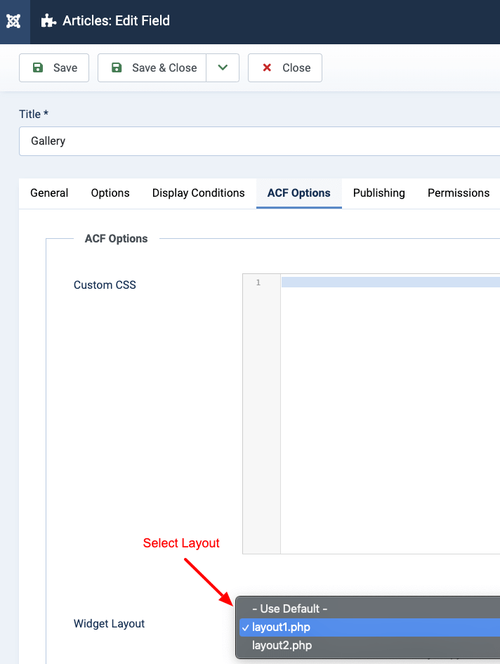 ACF - Options Select Layout