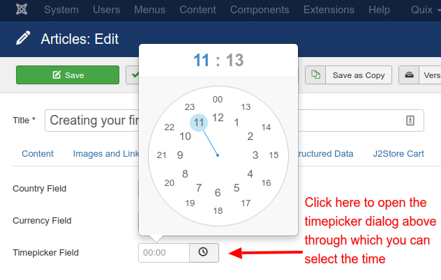 acf-timepicker-field-usage