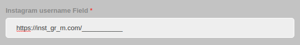 convert forms input mask instagram field input wrong