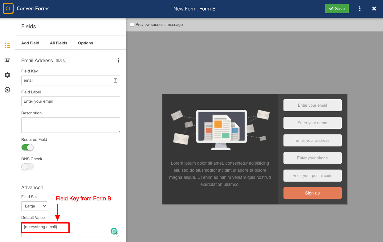 Auto Populate Form Fields with Query String