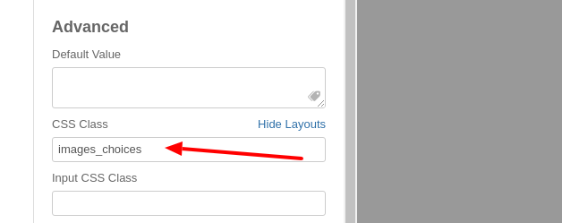 convertforms images as options 3