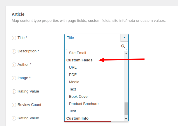 Article Custom Fields