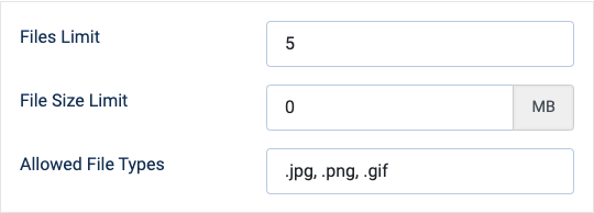 Upload Size and File Type Restrictions