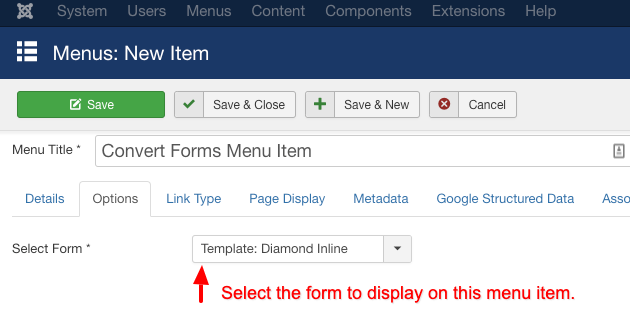 select convert form menu item