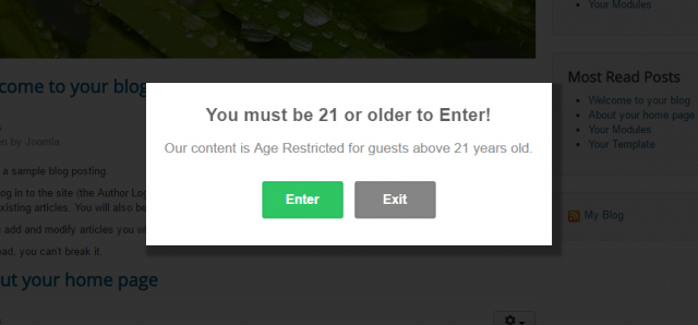 Create a Cookie Based Age Verification Popup
